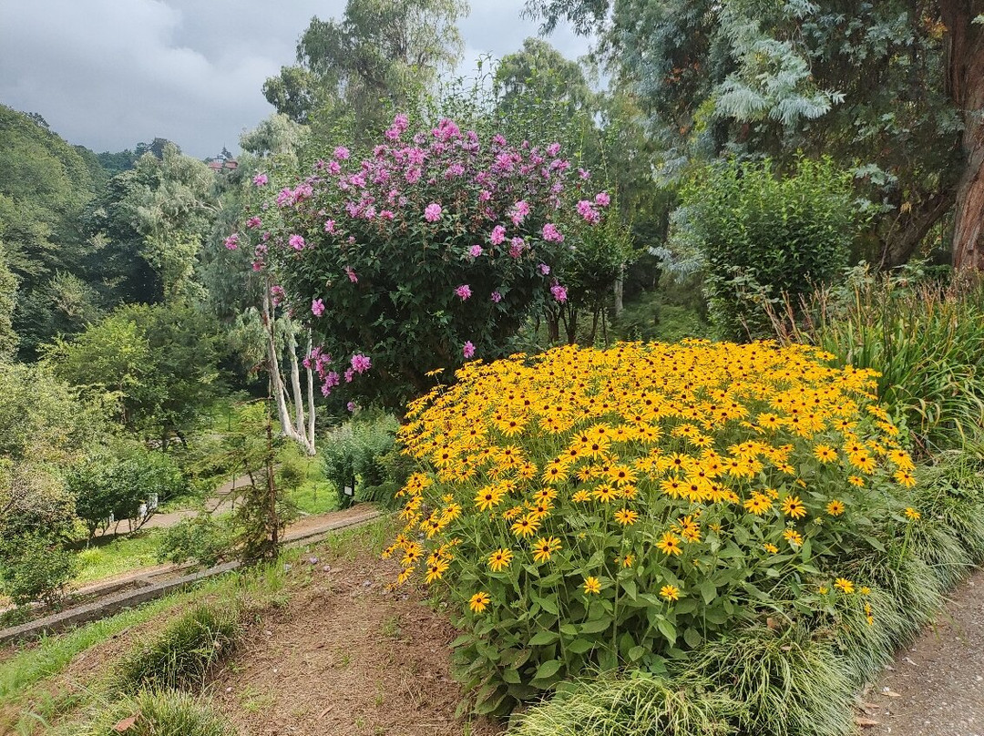Batumi Botanical Gardens-巴统必去景点