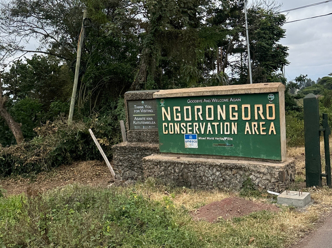 Ngorongoro Crater-恩戈罗恩戈罗保护区必去景点