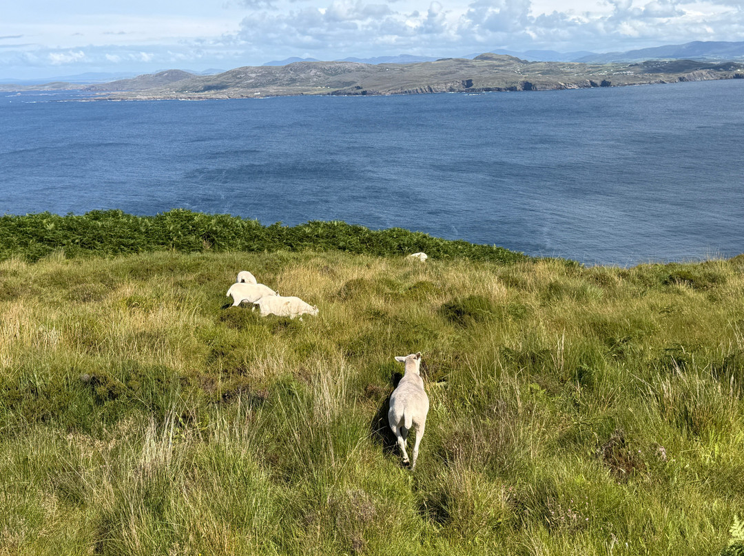 Walking Ireland-多尼戈尔城镇必去景点