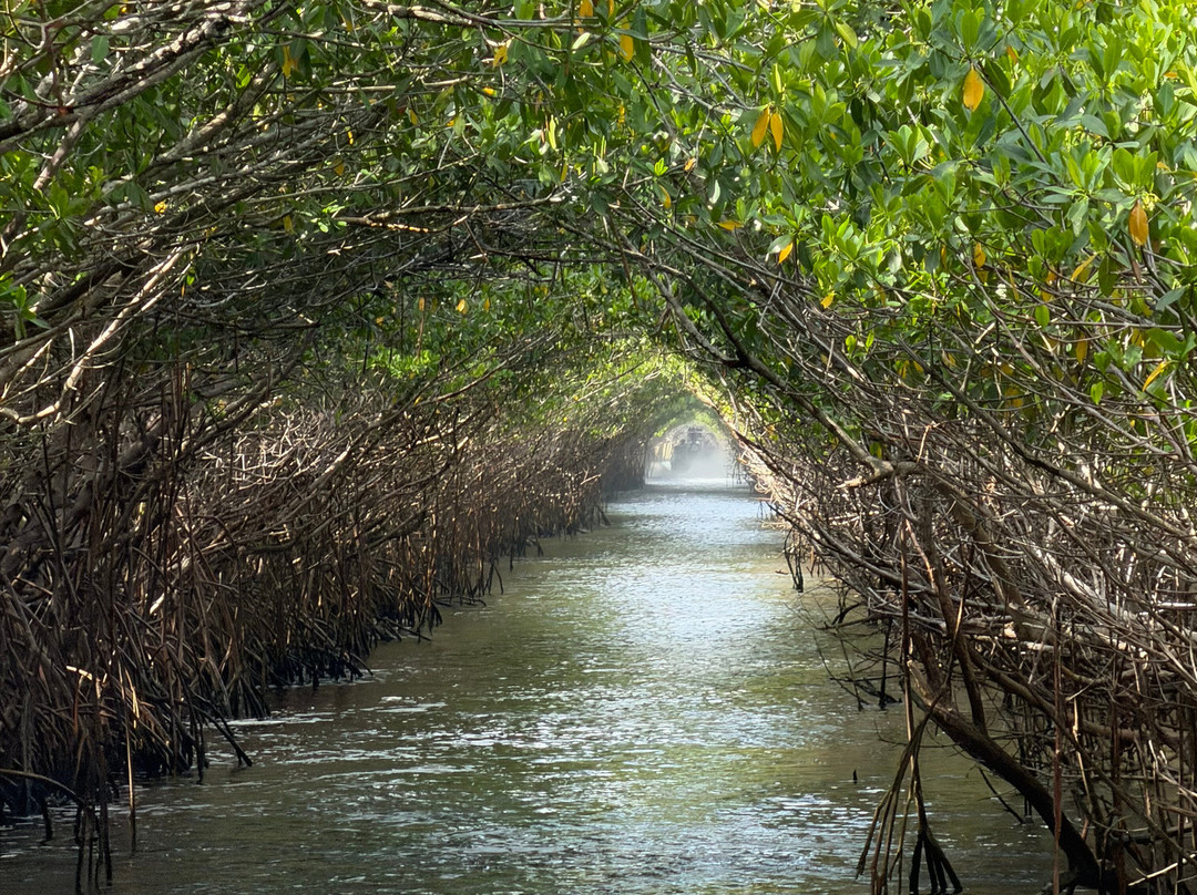 Captain Jack's Airboat Tours-大沼泽地必去景点