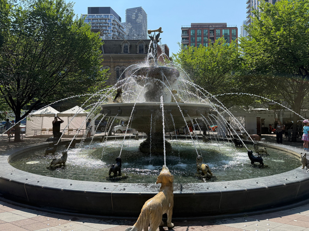 Berczy Park-多伦多必去景点