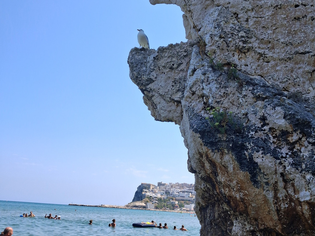 Hotel Sirena - Servizio Spiaggia Inclusive主图