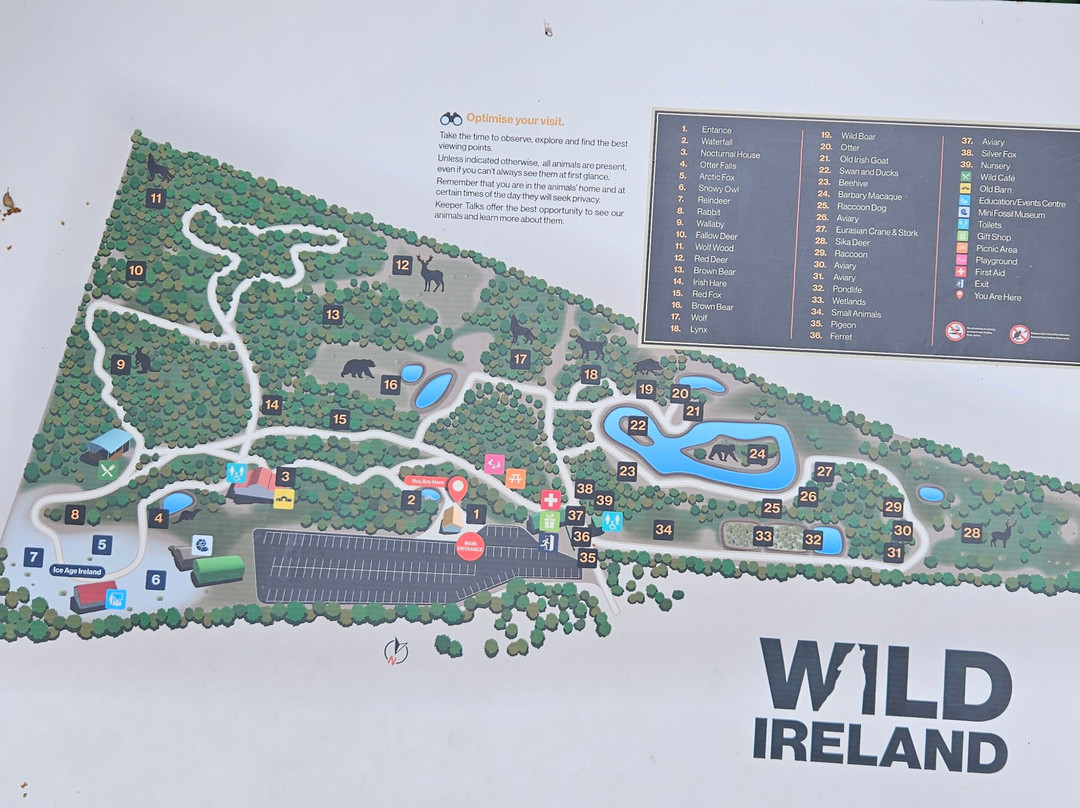 Wild Ireland-Burnfoot必去景点