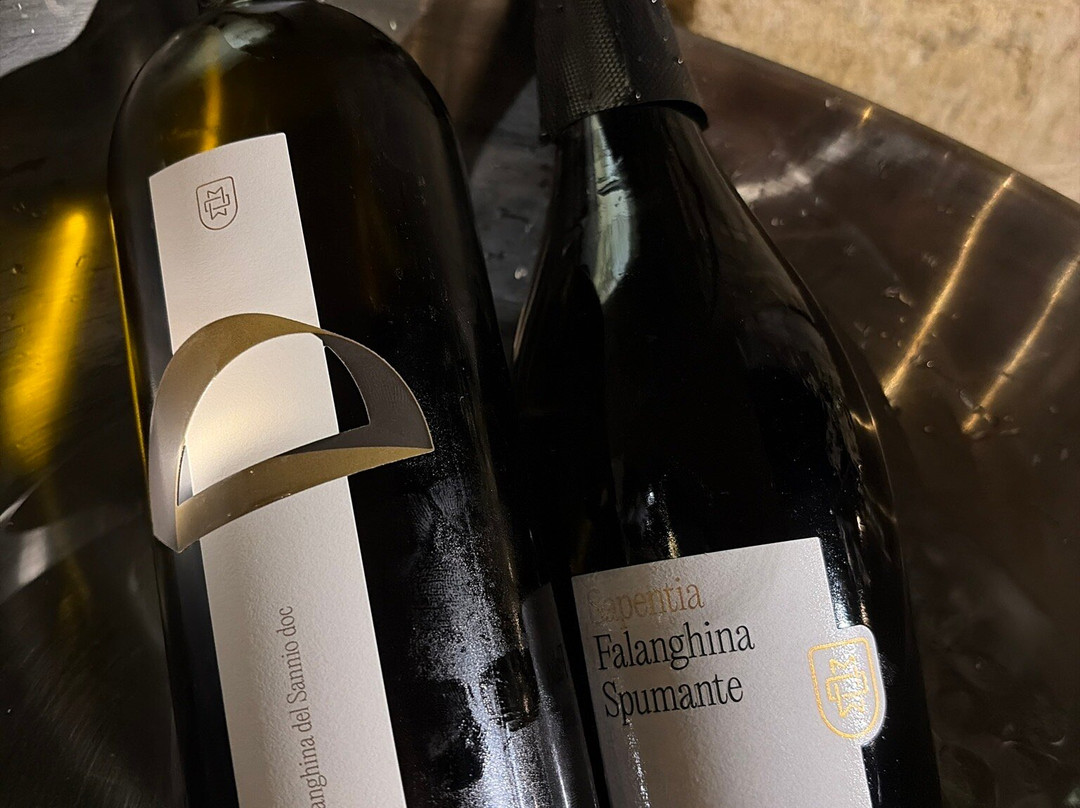 Sapentia Wine - L'Eredità del Vino-Guardia Sanframondi必去景点