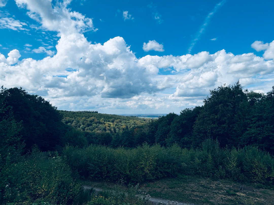 Parc Forestier Récréatif Chlorophylle-Manhay必去景点
