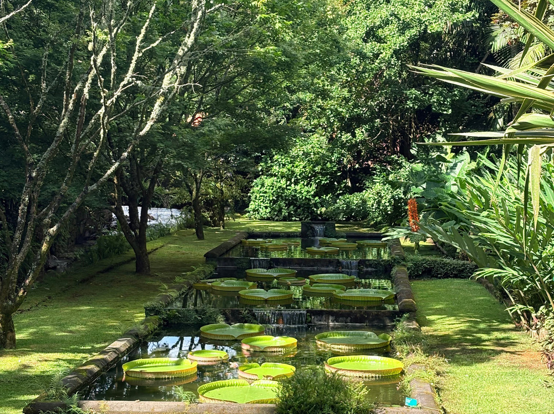 Parque Terra Nostra-富尔纳斯必去景点