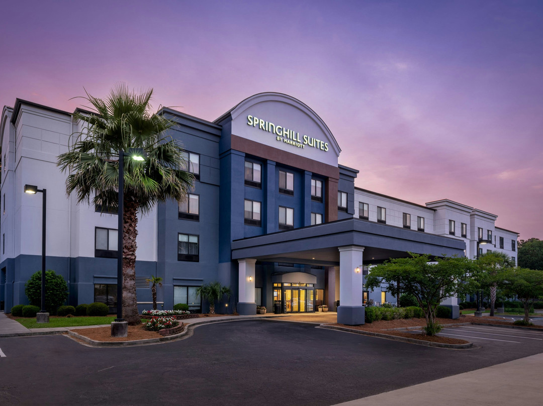 北查尔斯顿/阿什利法斯菲特万豪SpringHill Suites 酒店