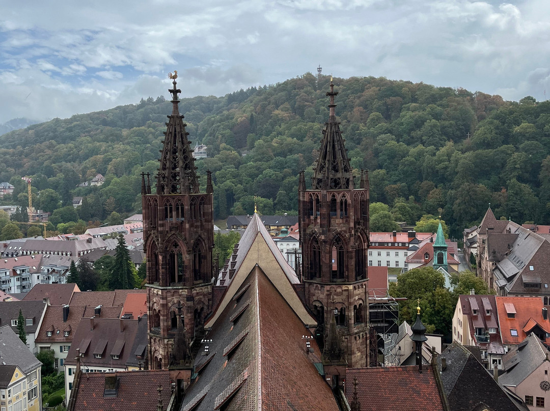 Freiburg Cathedral-佛莱堡必去景点
