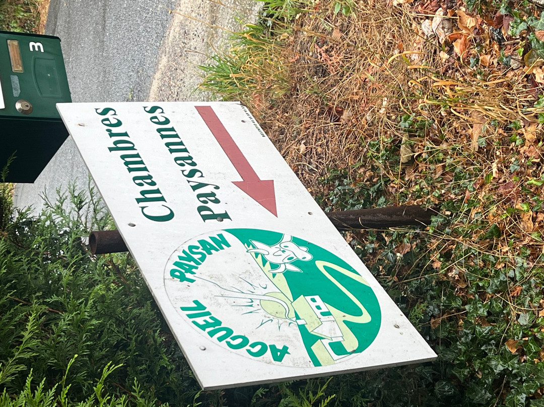 Lecarpentier主图