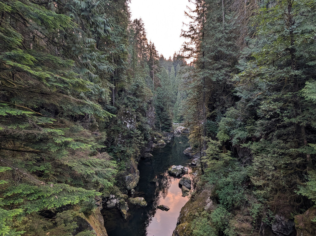 Capilano River Regional Park-北温哥华必去景点