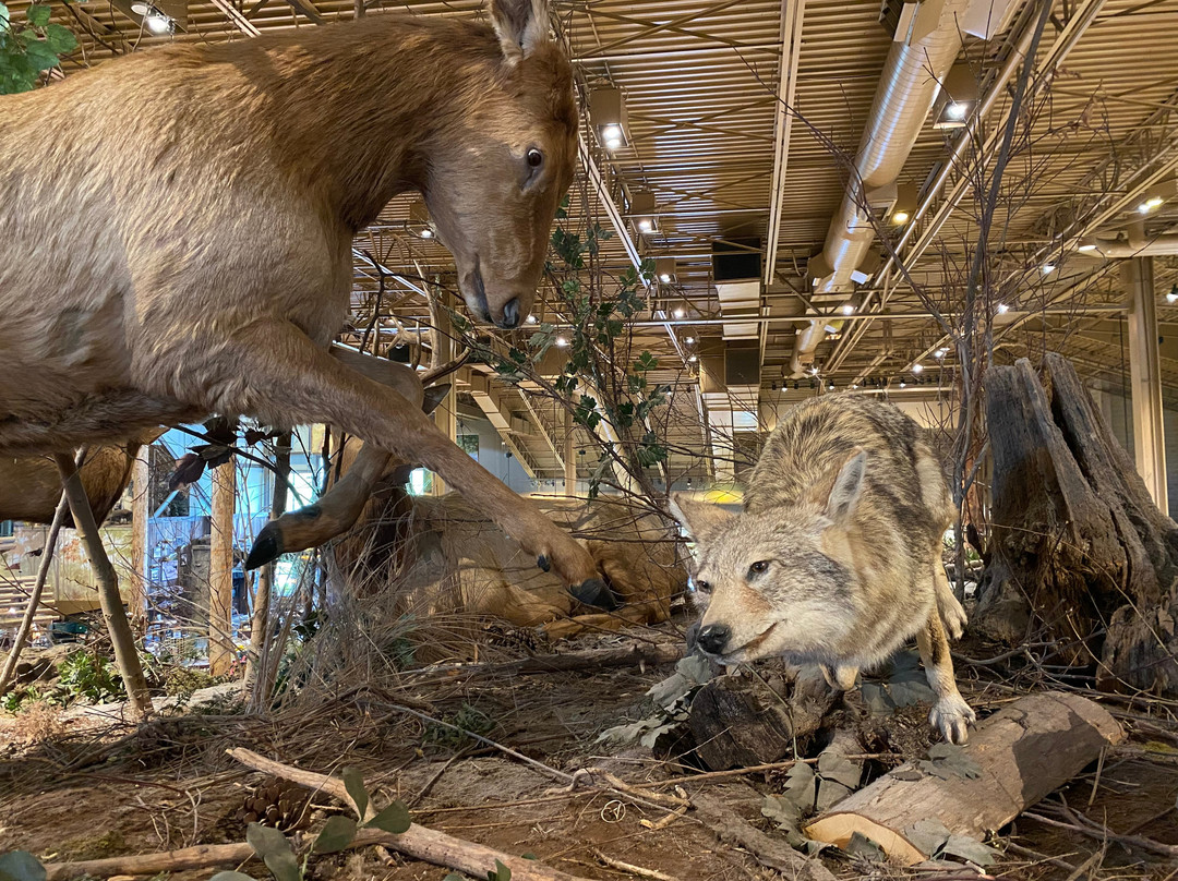 Bass Pro Shops Outdoor World-塞维尔维尔必去景点