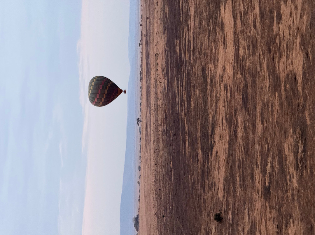Nyssa Balloon Safaris-Seronera必去景点
