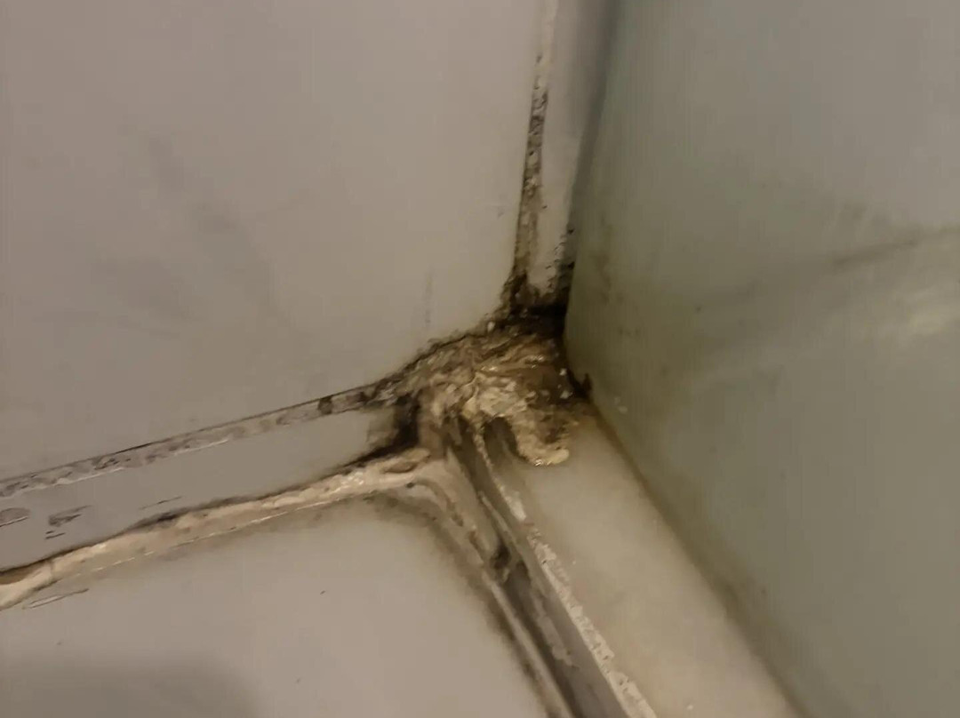 Ladonia Hotels Zemda Gümüşlük主图