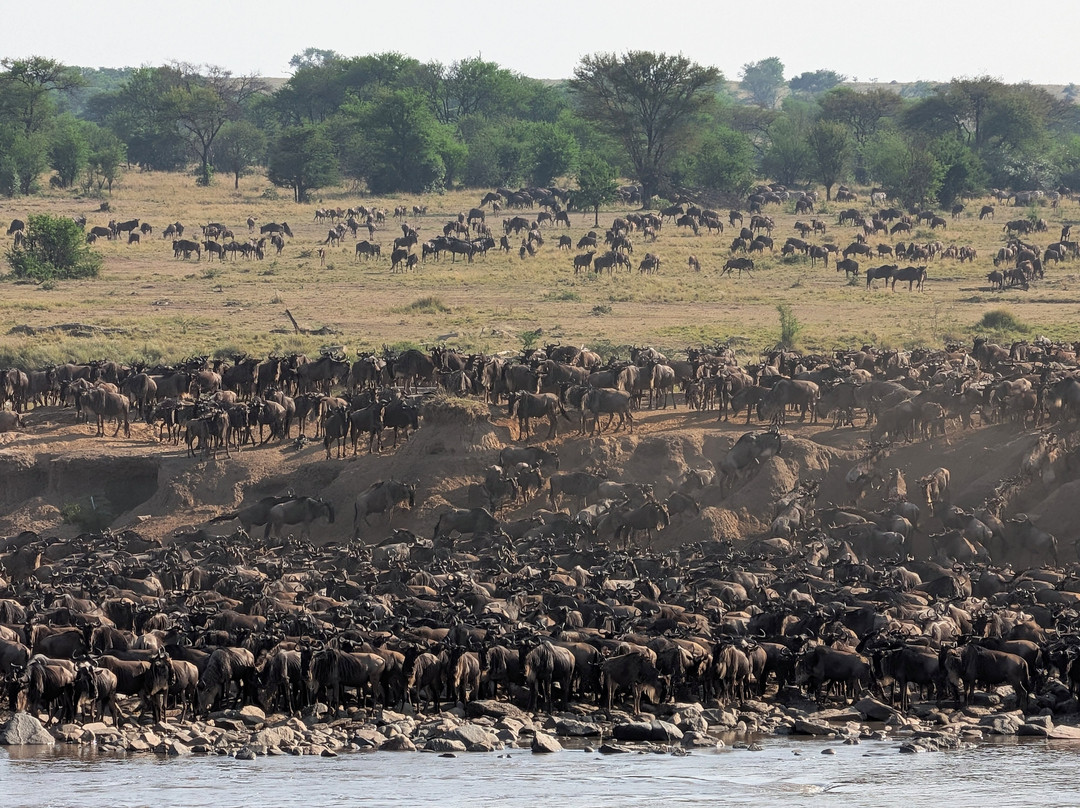 Katikati Tours and Safaris-阿鲁沙必去景点