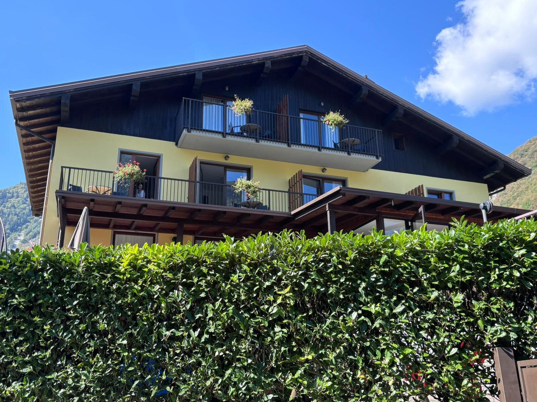 Hotel Stella Alpina主图