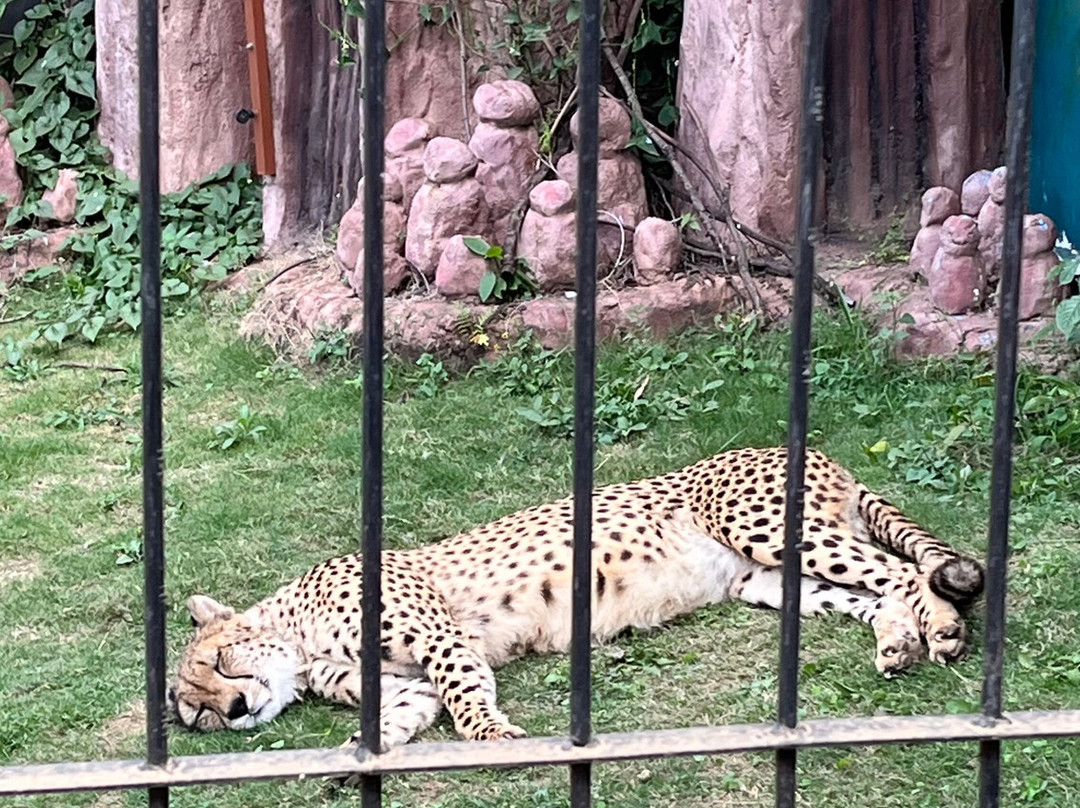 Batu Secret Zoo (Jawa Timur Park 2)-巴图必去景点