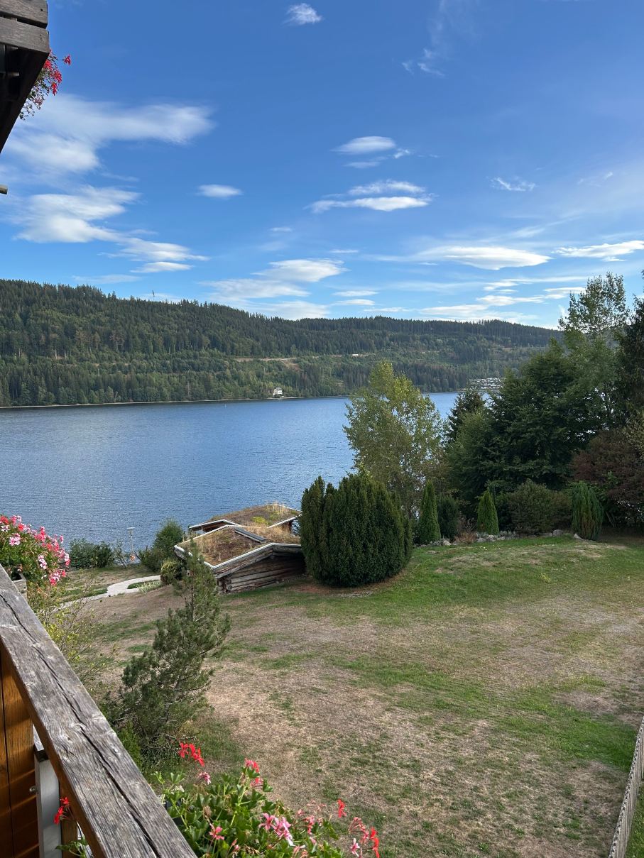 Seehotel Wiesler-旅行者