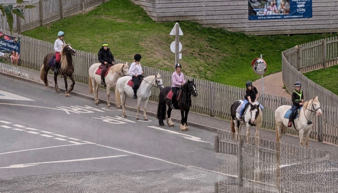Finlake Riding Centre-Chudleigh必去景点