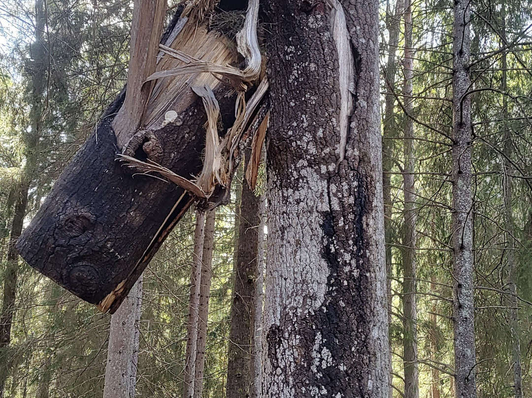 Tyresta National Park-Tyreso必去景点