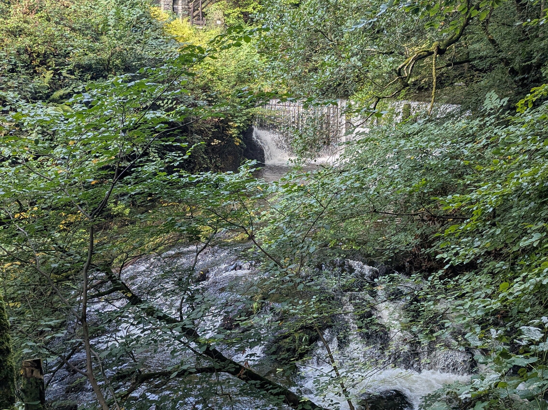 Stock Ghyll Force-安布赛德必去景点