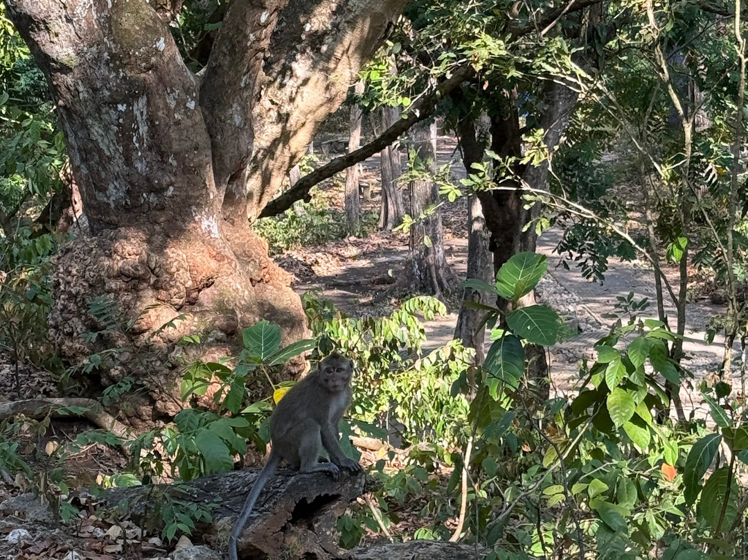 Pangandaran National Park-庞岸达兰必去景点