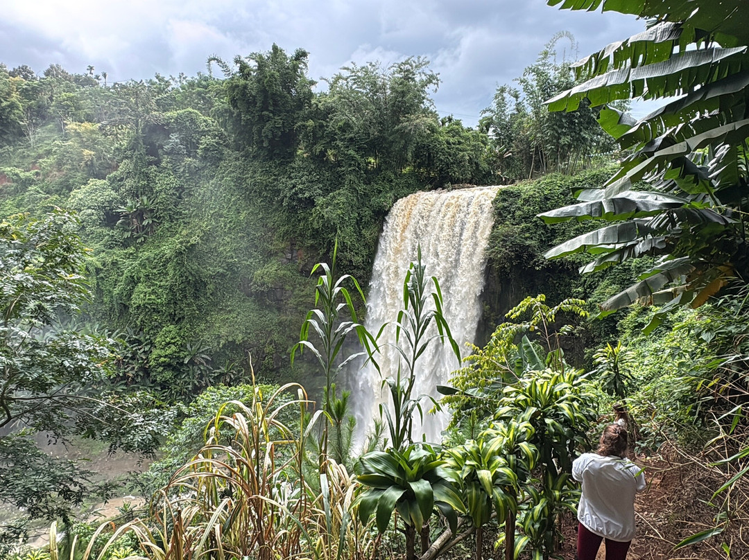 Dalat Discovery Travel-大勒必去景点