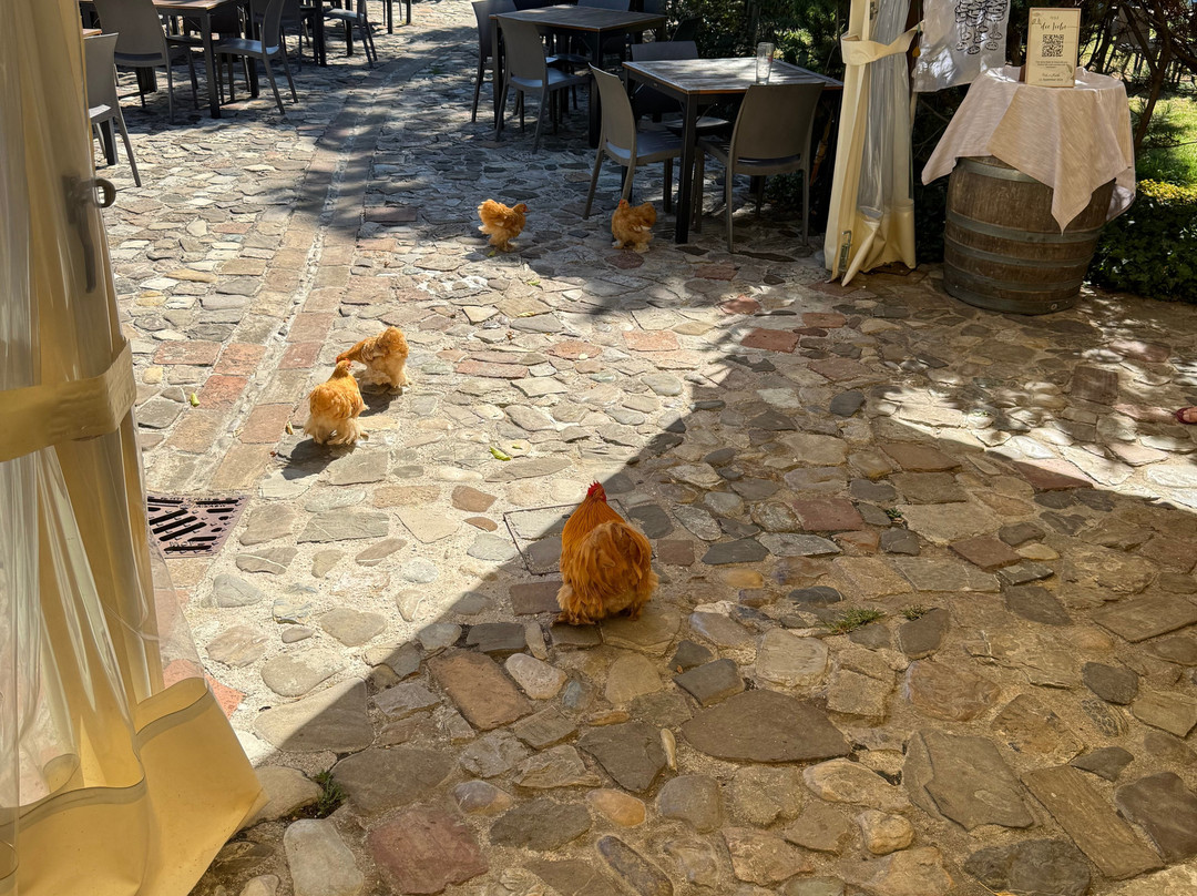 Agriturismo La Graziosa主图