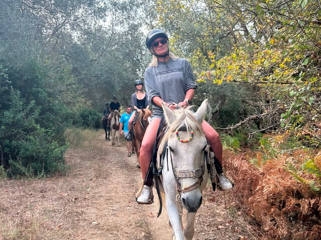 Skiathos Riding Centre-斯亚索斯必去景点