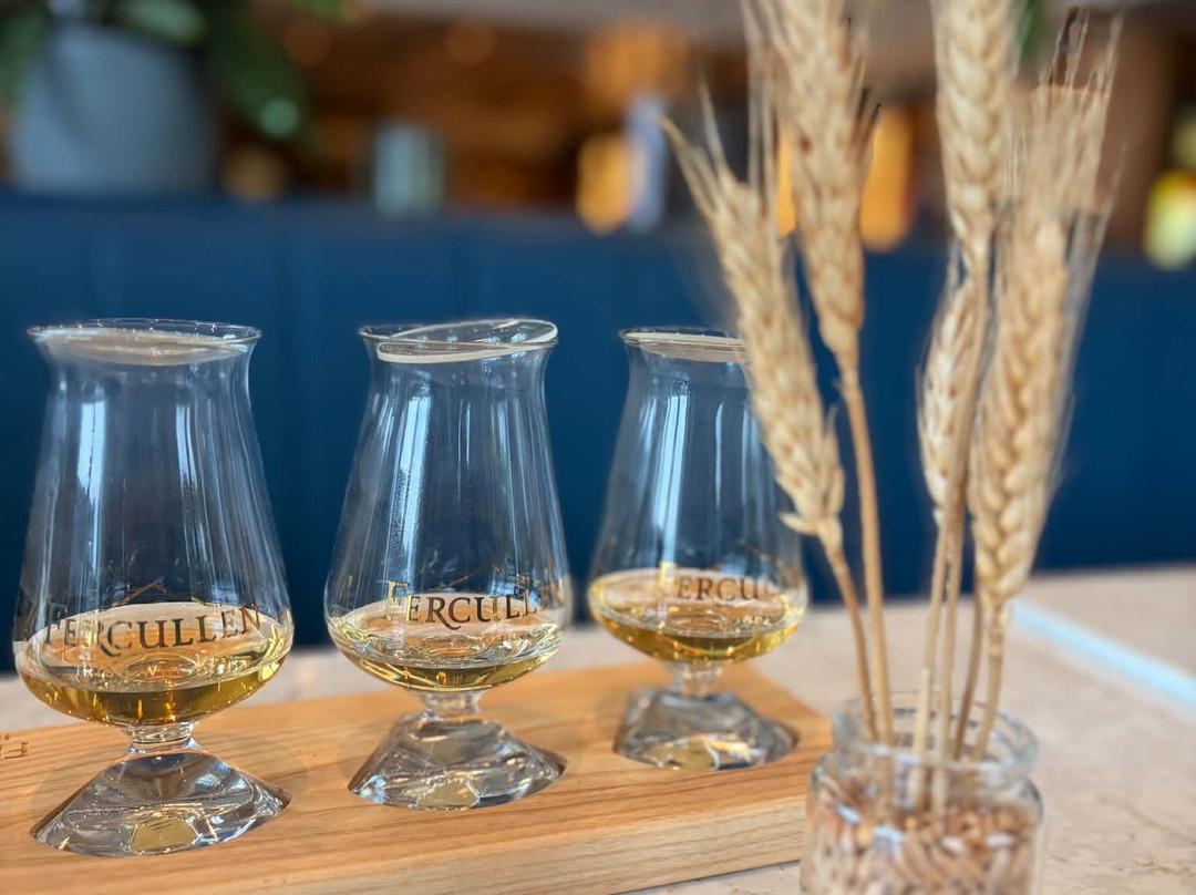 Powerscourt Distillery-Enniskerry必去景点