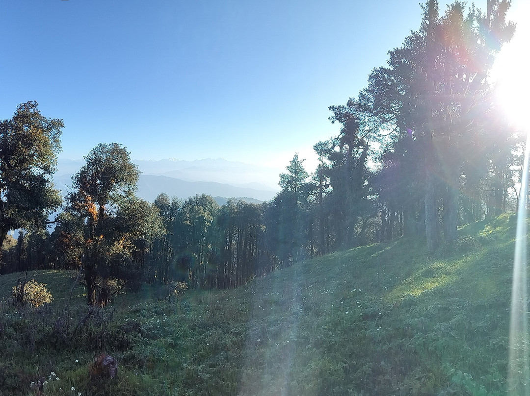 Nagtibba Trek With Abhishek-Pantwari必去景点