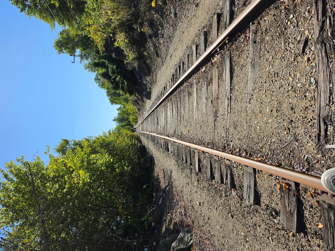 Revolution Rail Co. Jenkins Beach-Dedham必去景点