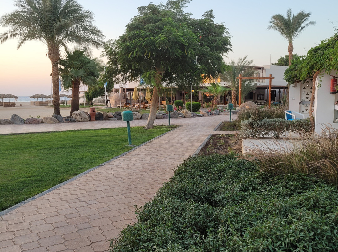 Shams Lodge for Watersports主图