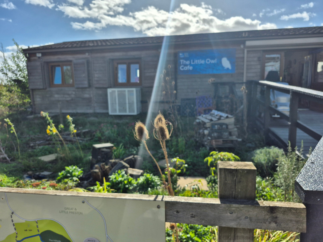 RSPB St Aidan's nature park-利兹必去景点