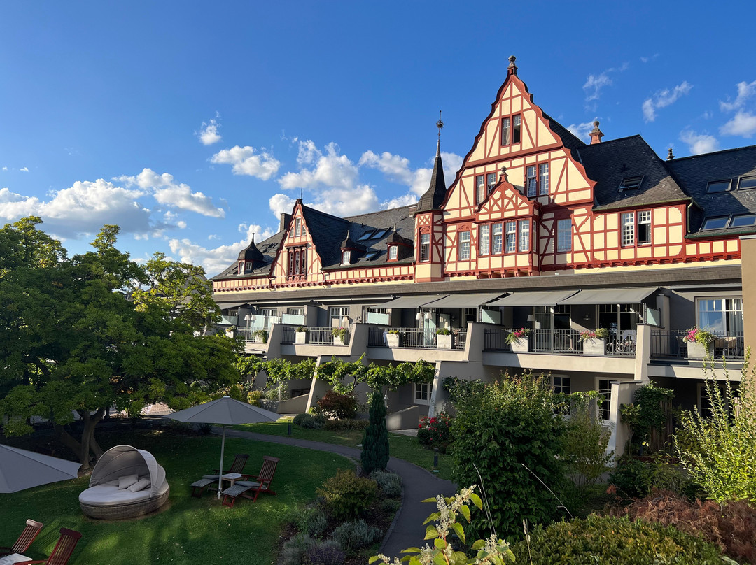 Moselschlösschen Spa & Resort主图
