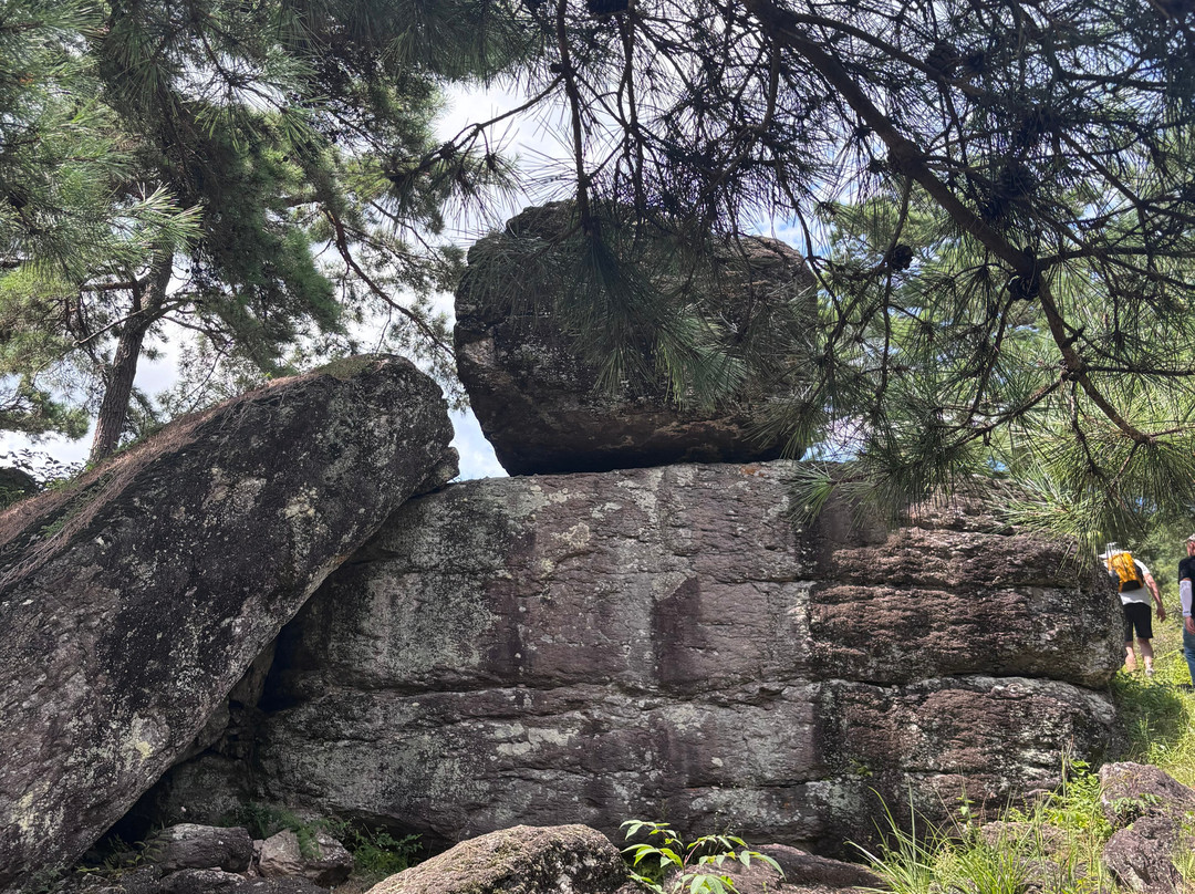 高敞、和顺、江华的史前遗址 -高敞郡必去景点