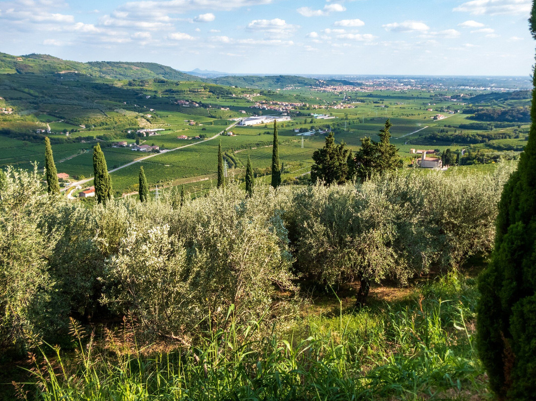 Azienda Agricola Trabucchi-Illasi必去景点