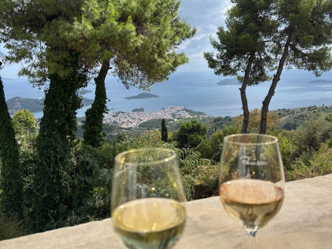 Parissis Winery-斯亚索斯必去景点