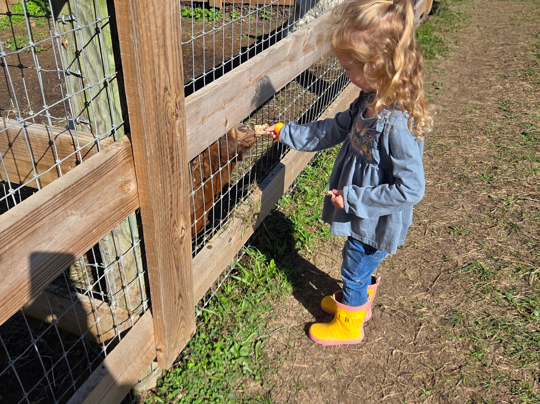 Apple Ridge Orchards-Warwick必去景点