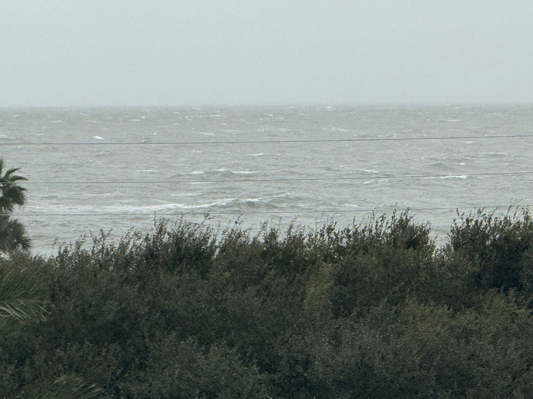 Fernandina Beach-阿米莉亚岛必去景点
