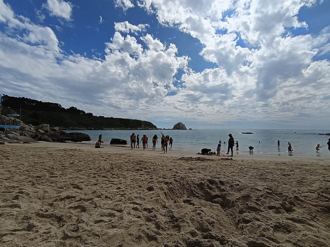 Playa El Canelillo-Algarrobo必去景点