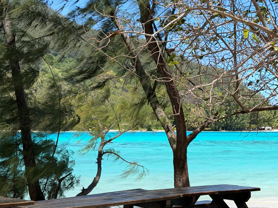Croisiere Polynesie-波拉波拉岛必去景点