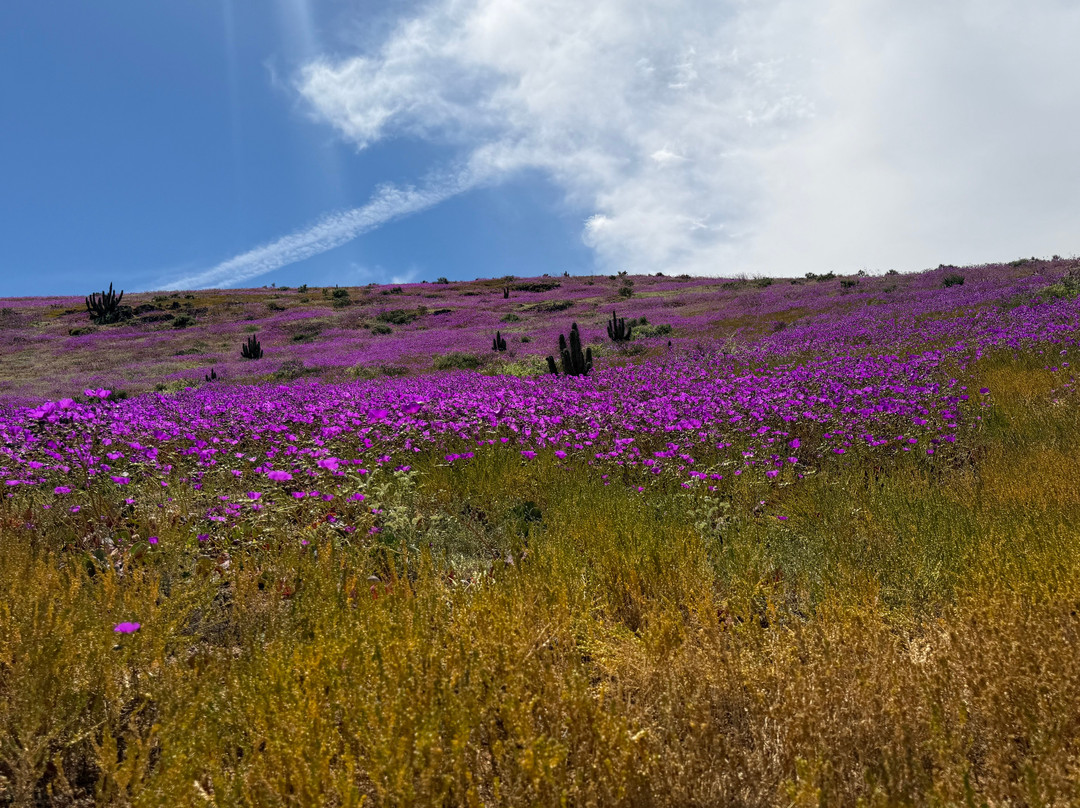 GeoTurismo Atacama-Caldera必去景点