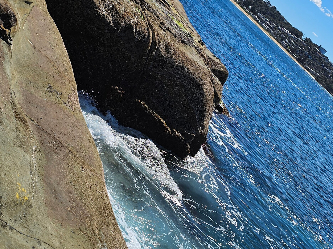 Avoca Beach-特里格尔必去景点