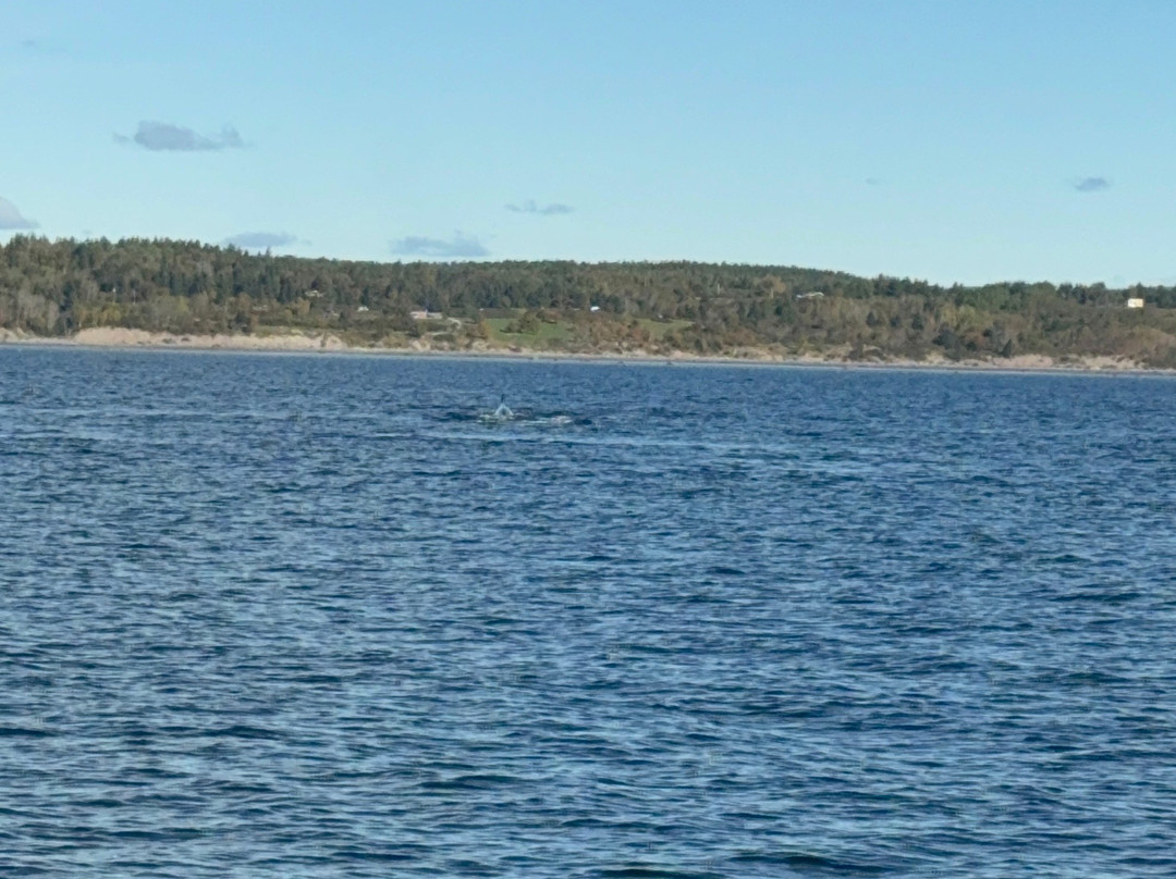 Tadoussac Autrement-泰道沙克必去景点
