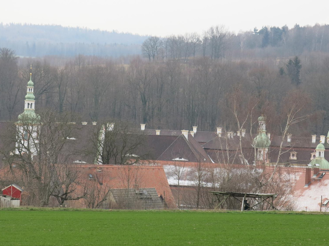 Kloster St. Marienthal景点图片