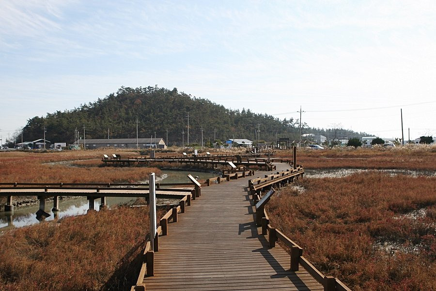 Taepyeong Yeomsaeng Botanical Garden-新安郡必去景点