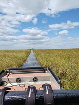 Cypress Outdoor Adventures-Everglades Wildlife Management Area必去景点