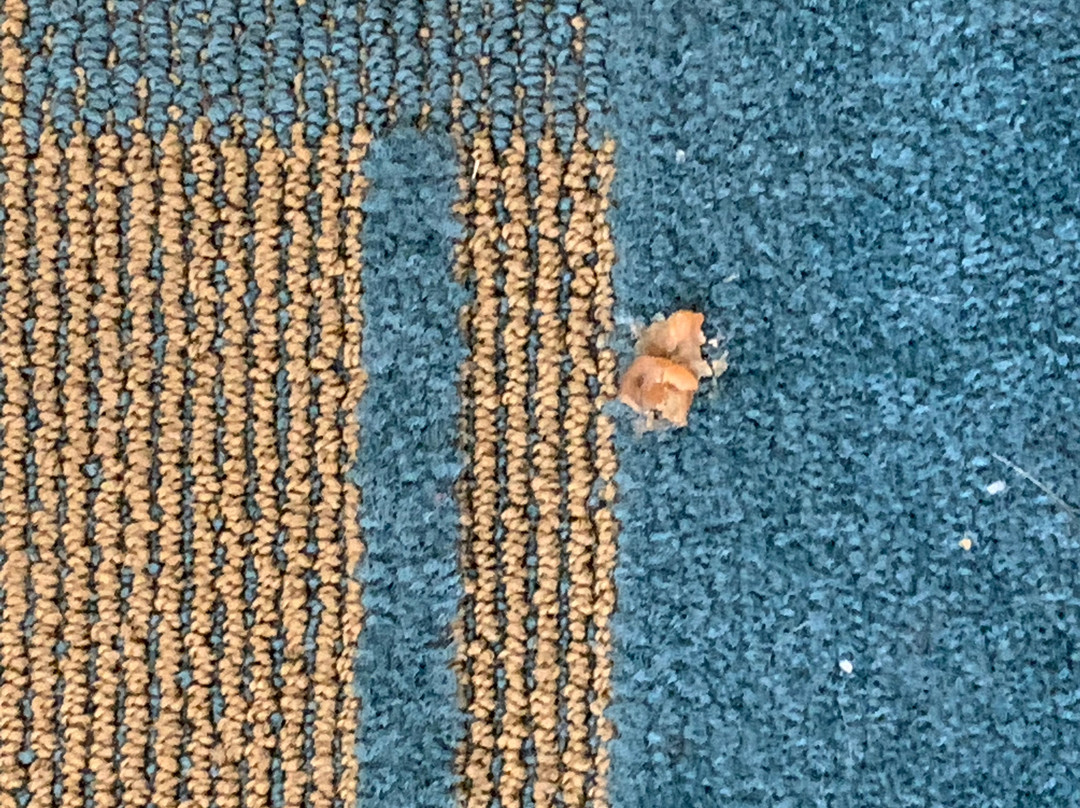 皮奥里亚酒店住宿-La Quinta Inn & Suites by Wyndham Phoenix West Peoria