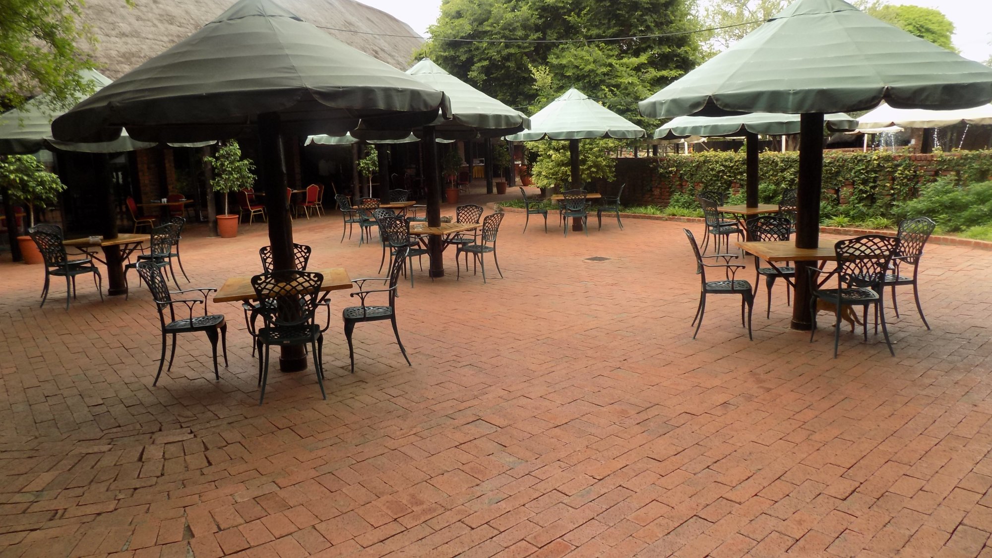 Golden Leopard - Manyane Resort-官方