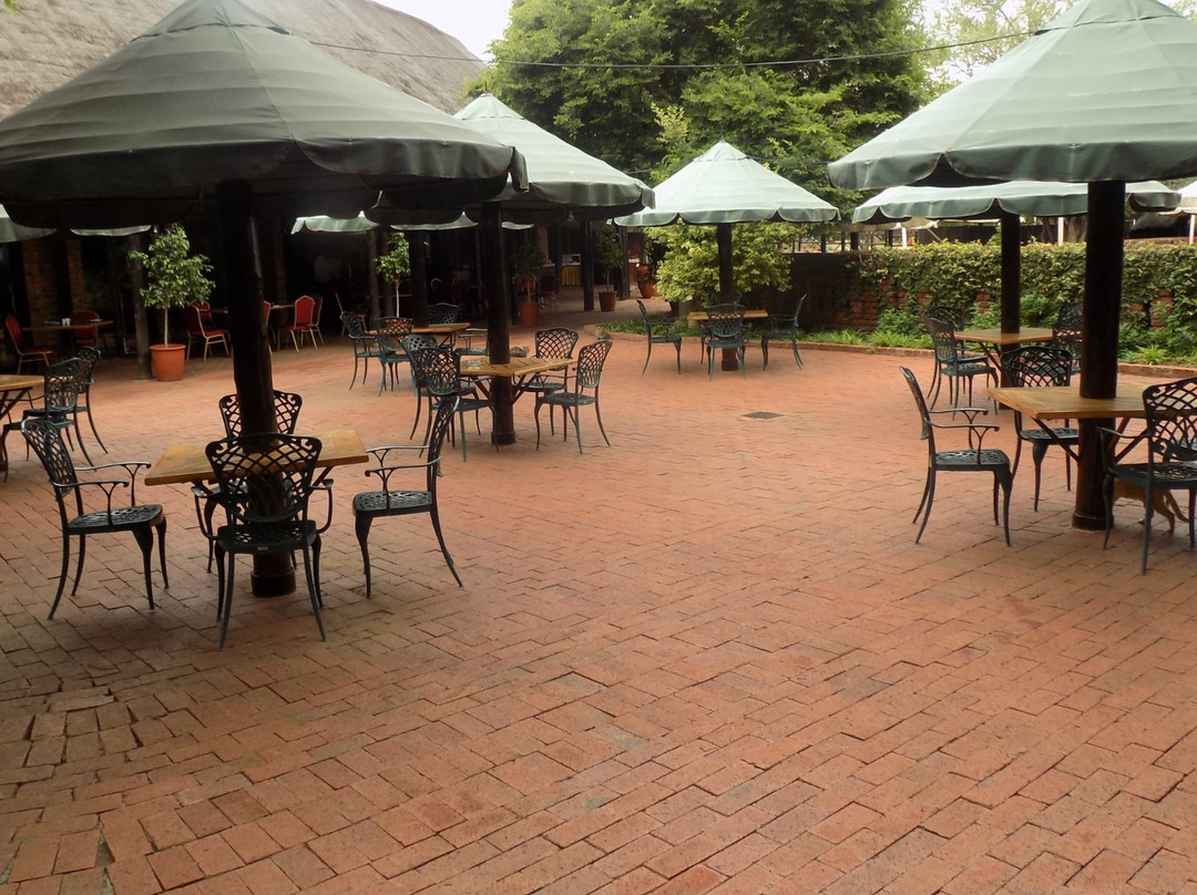 Golden Leopard - Manyane Resort